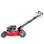 Газонокосилка бензиновая самоходная с двигателем FUBAG Honda FPL 56 SMH в Симферополе фото